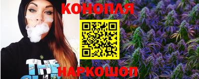 гашик Донецк