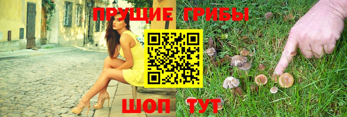 Псилоцибиновые грибы ЛСД Знаменск