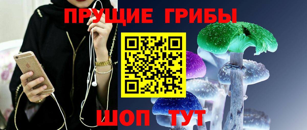 Знаменск  Псилоцибиновые грибы MAGIC MUSHROOMS  Вход с VPN 